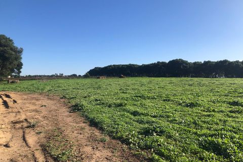 Terra a Barbate, Cadiz, Barbate - € 480.000 | Ref: vc 191 - foto 4
